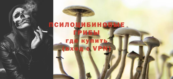 прущий лед Абаза