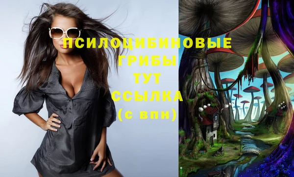 ГАЛЛЮЦИНОГЕННЫЕ ГРИБЫ Сафоново