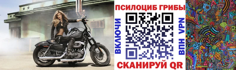 Галлюциногенные грибы Psilocybe omg зеркало Алапаевск